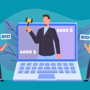 Budget and Bidding