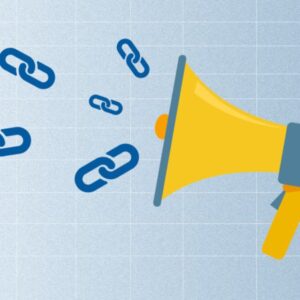 Link Building Campaigns