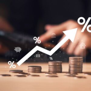 Local Business Schema