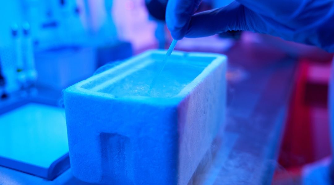 Your Optimization Lab.