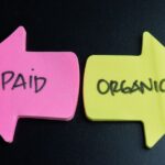 Performance Tracking for Paid vs. Organic Content
